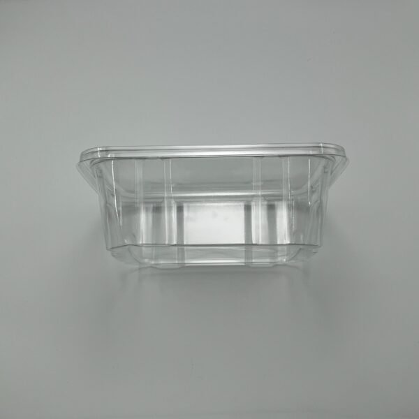 NE-H6/32OZ PET Clear Rectangular Hinged Safety Lock Container - Image 5