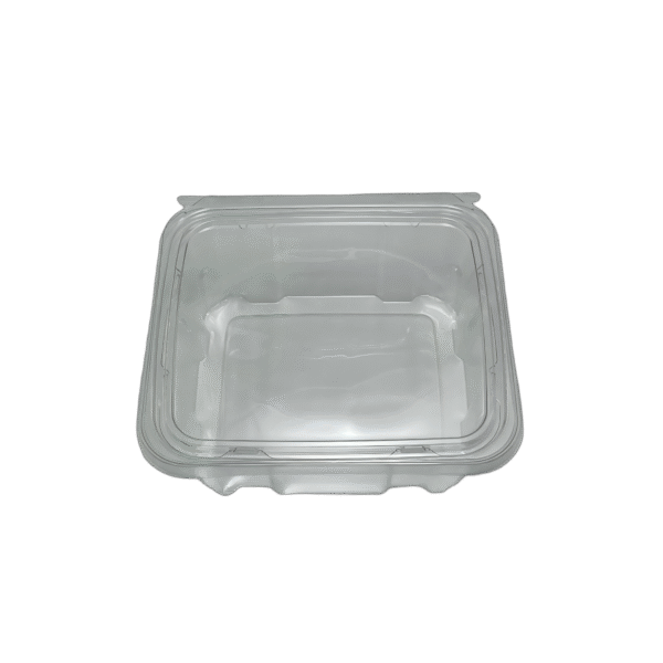 NE-H6/32OZ PET Clear Rectangular Hinged Safety Lock Container
